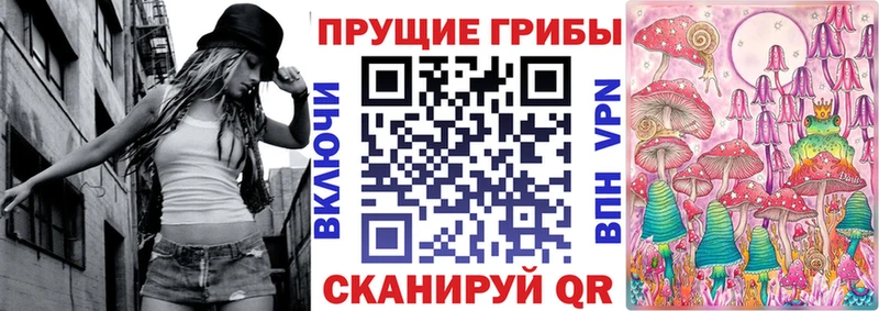 Купить  Сосенский  Псилоцибиновые грибы Magic Shrooms 